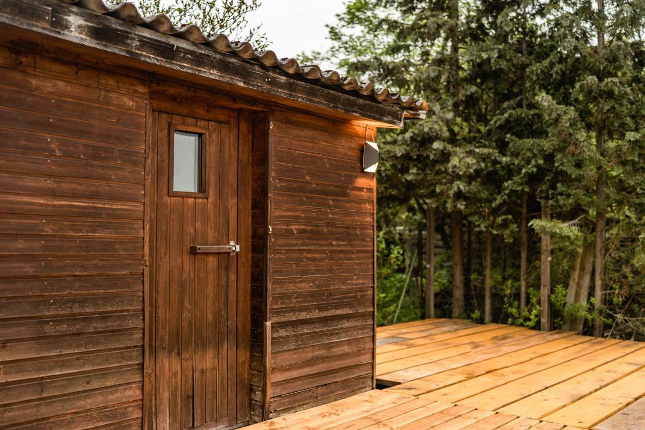 Die Entspannendste Wohnung Am Edersee - Spa Sauna Edertal Eksteriør billede